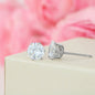 Sparkling White Cubic Zirconia Earrings