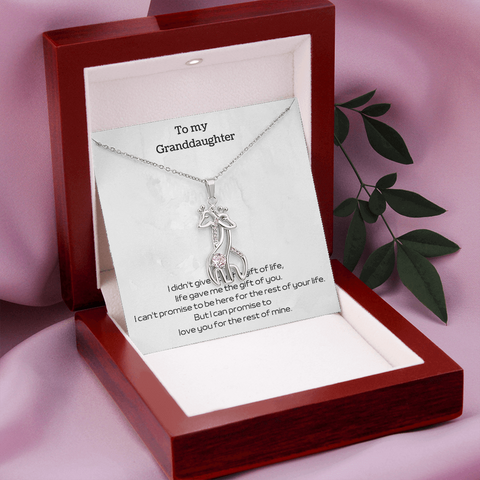 To my Grandaughter - Love Giraffe Necklace