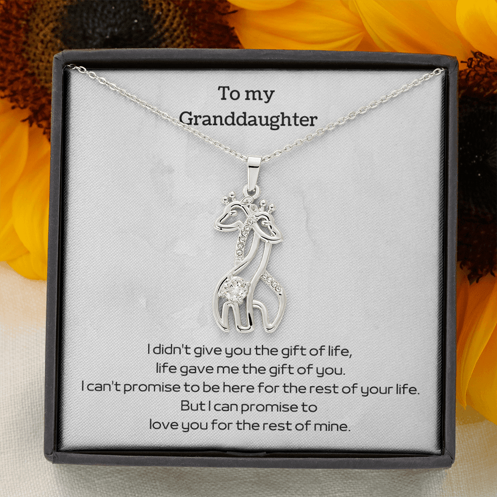 To my Grandaughter - Love Giraffe Necklace